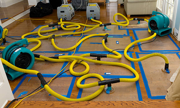Professional Burst Pipe Water Damage technician working in Burnside, IA